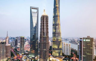 中建鋼構(gòu)房屋建筑工程業(yè)務(wù)板塊 構(gòu)筑現(xiàn)代城市新空間